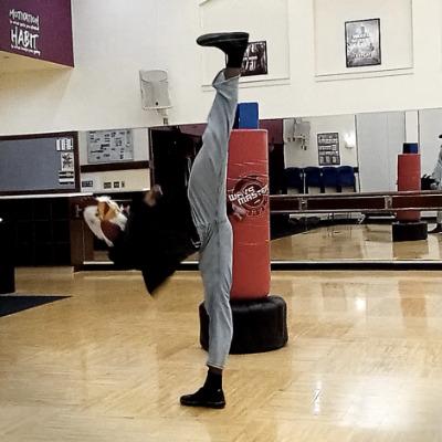 Coach Tactus XII — high kick on punching bag